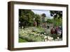 Lakeside Promenade of Locarno, Lake Maggiore, Canton of Ticino, Switzerland-null-Framed Art Print