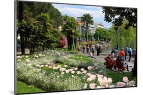 Lakeside Promenade of Locarno, Lake Maggiore, Canton of Ticino, Switzerland-null-Mounted Art Print