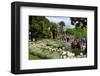 Lakeside Promenade of Locarno, Lake Maggiore, Canton of Ticino, Switzerland-null-Framed Art Print