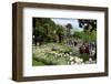 Lakeside Promenade of Locarno, Lake Maggiore, Canton of Ticino, Switzerland-null-Framed Art Print