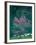 Lakeside Redbud Tree Blooms in Spring-Gayle Harper-Framed Premium Photographic Print