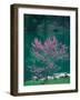 Lakeside Redbud Tree Blooms in Spring-Gayle Harper-Framed Photographic Print