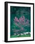 Lakeside Redbud Tree Blooms in Spring-Gayle Harper-Framed Photographic Print