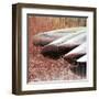 Lakeside Repose-Erin Clark-Framed Art Print