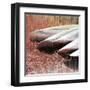 Lakeside Repose-Erin Clark-Framed Art Print