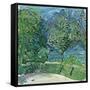 Lakeside Road Near Gmunden, 1907-Richard Gerstl-Framed Stretched Canvas