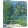 Lakeside Road Near Gmunden, 1907-Richard Gerstl-Mounted Giclee Print