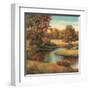 Lakeside Serenity I-TC Chiu-Framed Art Print