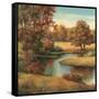 Lakeside Serenity I-TC Chiu-Framed Stretched Canvas