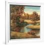 Lakeside Serenity I-TC Chiu-Framed Art Print