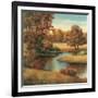 Lakeside Serenity I-TC Chiu-Framed Art Print