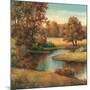 Lakeside Serenity I-TC Chiu-Mounted Art Print