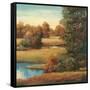 Lakeside Serenity II-TC Chiu-Framed Stretched Canvas
