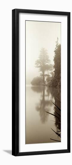 Lakeside Tree #2-Alan Blaustein-Framed Photographic Print