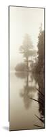 Lakeside Tree #2-Alan Blaustein-Mounted Photographic Print