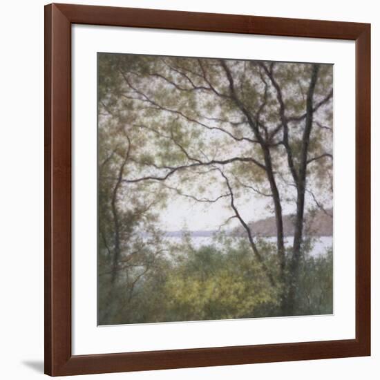 Lakeside Trees I-John Folchi-Framed Art Print