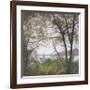 Lakeside Trees I-John Folchi-Framed Art Print