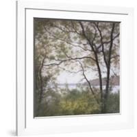 Lakeside Trees I-John Folchi-Framed Art Print