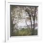 Lakeside Trees I-John Folchi-Framed Art Print