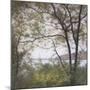 Lakeside Trees I-John Folchi-Mounted Art Print