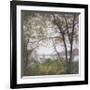 Lakeside Trees I-John Folchi-Framed Art Print