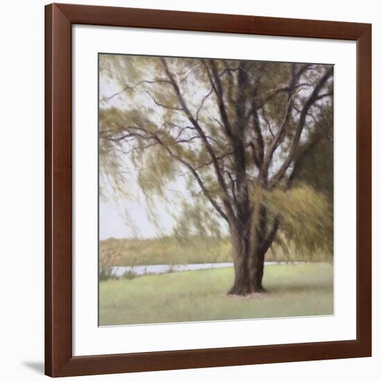 Lakeside Trees II-John Folchi-Framed Art Print