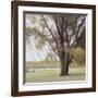 Lakeside Trees II-John Folchi-Framed Art Print