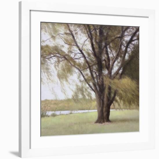 Lakeside Trees II-John Folchi-Framed Art Print