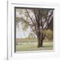 Lakeside Trees II-John Folchi-Framed Art Print