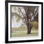 Lakeside Trees II-John Folchi-Framed Art Print