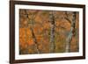 Lakeside Trio-Staffan Widstrand-Framed Giclee Print