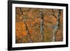 Lakeside Trio-Staffan Widstrand-Framed Giclee Print