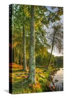 Lakeside Vertical-Robert Goldwitz-Stretched Canvas