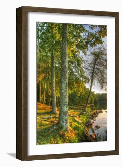 Lakeside Vertical-Robert Goldwitz-Framed Photographic Print