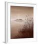 Lakeside Vista II-B^ Berthet-Framed Art Print