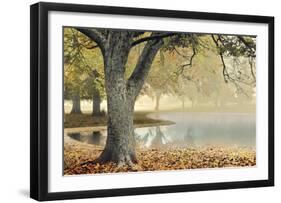 Lakeside-Donald Satterlee-Framed Giclee Print