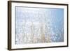 Lakeside-Elizabeth Kay-Framed Art Print