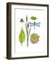 Lakeside-Blenda Tyvoll-Framed Giclee Print