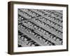 Lakewood Building Project-null-Framed Photographic Print