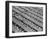 Lakewood Building Project-null-Framed Photographic Print