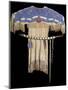 Lakota Beaded Dress-null-Mounted Photographic Print