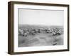 Lakota "Hostile Indian Camp" Photograph - Pine Ridge, SD-Lantern Press-Framed Art Print