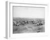 Lakota "Hostile Indian Camp" Photograph - Pine Ridge, SD-Lantern Press-Framed Art Print