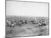 Lakota "Hostile Indian Camp" Photograph - Pine Ridge, SD-Lantern Press-Mounted Art Print