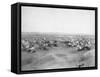 Lakota "Hostile Indian Camp" Photograph - Pine Ridge, SD-Lantern Press-Framed Stretched Canvas