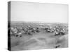 Lakota "Hostile Indian Camp" Photograph - Pine Ridge, SD-Lantern Press-Stretched Canvas