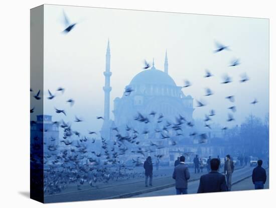 Laleli Mosque, Istanbul, Turkey, Europe, Eurasia-James Green-Stretched Canvas