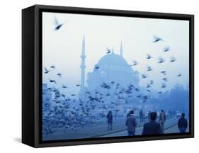 Laleli Mosque, Istanbul, Turkey, Europe, Eurasia-James Green-Framed Stretched Canvas