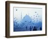 Laleli Mosque, Istanbul, Turkey, Europe, Eurasia-James Green-Framed Photographic Print