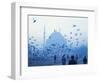 Laleli Mosque, Istanbul, Turkey, Europe, Eurasia-James Green-Framed Photographic Print